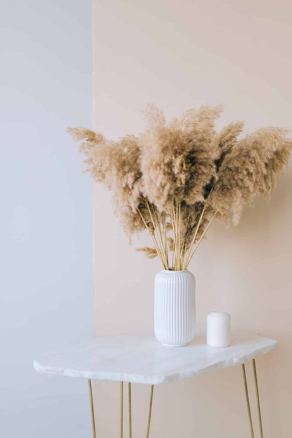 Bouquet de pampa: la décoration idéale pour vos vases